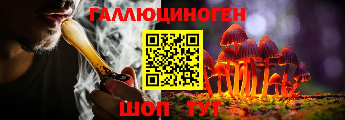 Псилоцибиновые грибы Cubensis  Вход с VPN  Оренбург  Галлюциногенные грибы прущие грибы 